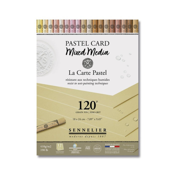 Sennelier La Carte Mixed Media Pastel Pad - Naples Yellow | Graffiti Gallery UK