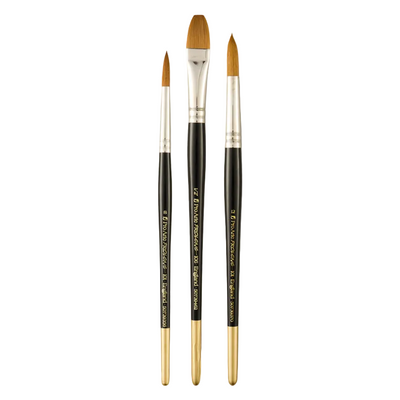 Pro Arte - Prolene W5 Brush Set